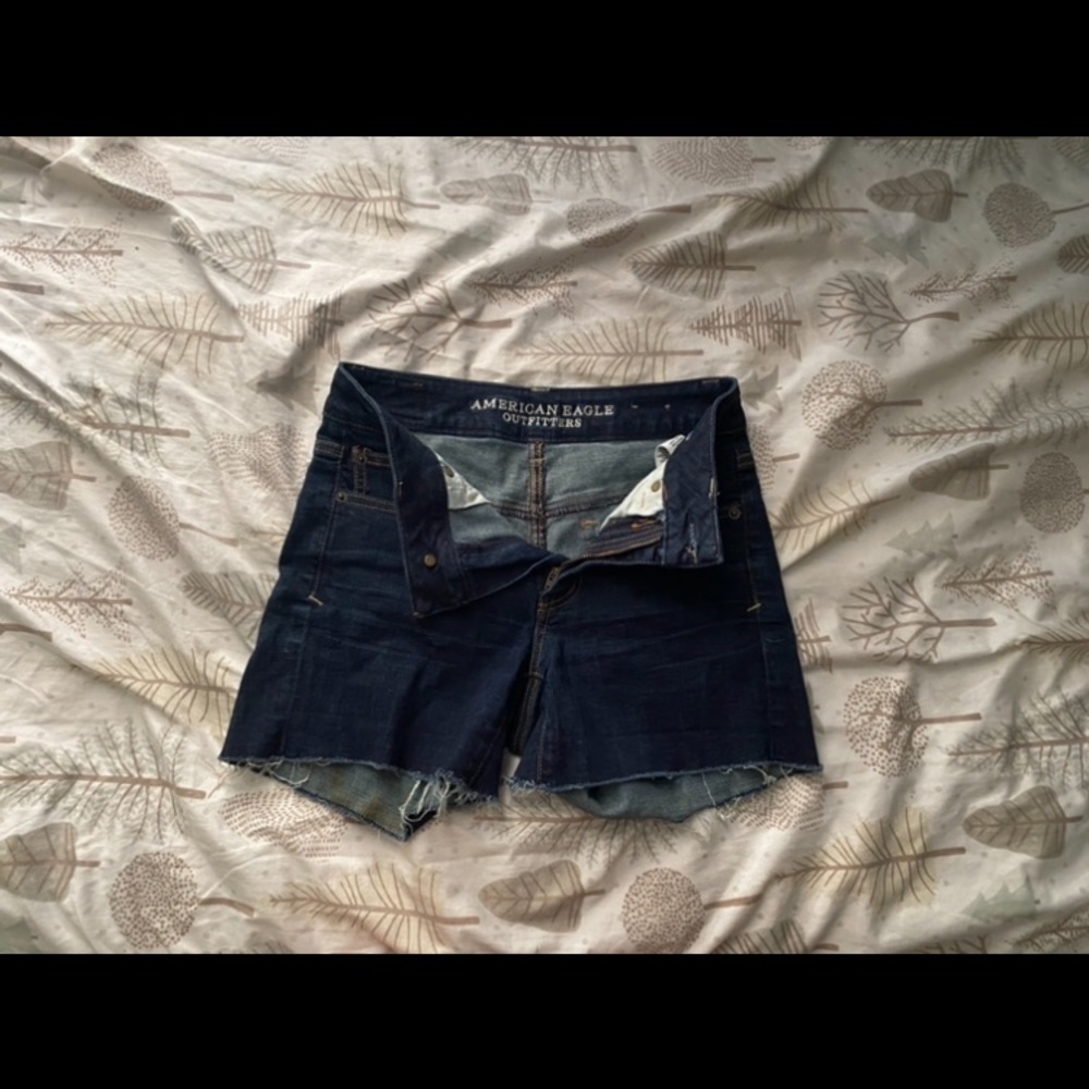 American Eagle Outfitters Navy Dark Wash Denim Shorts